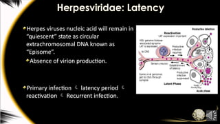 Herpesviridae: Latency
Herpes viruses nucleic acid will remain in
“quiescent” state as circular
extrachromosomal DNA known as
“Episome”.
Absence of virion production.
Primary infection  latency period 
reactivation  Recurrent infection.
 