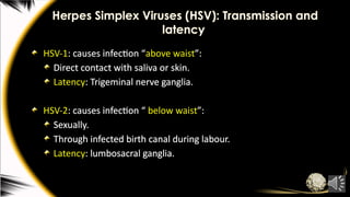 Herpes Simplex Viruses (HSV): Transmission and
latency
HSV-1: causes infection “above waist”:
Direct contact with saliva or skin.
Latency: Trigeminal nerve ganglia.
HSV-2: causes infection “ below waist”:
Sexually.
Through infected birth canal during labour.
Latency: lumbosacral ganglia.
 