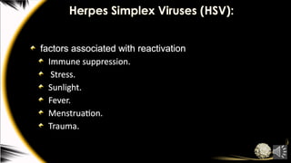 Herpes Simplex Viruses (HSV):
factors associated with reactivation
Immune suppression.
Stress.
Sunlight.
Fever.
Menstruation.
Trauma.
 