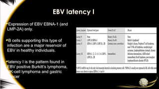 EBV latency I
Expression of EBV EBNA-1 (and
LMP-2A) only.
B cells supporting this type of
infection are a major reservoir of
EBV in healthy individuals.
latency I is the pattern found in
EBV positive Burkitt’s lymphoma,
NK-cell lymphoma and gastric
cancer
 