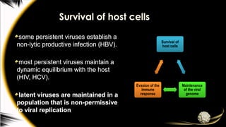 Survival of host cells
some persistent viruses establish a
non-lytic productive infection (HBV).
most persistent viruses maintain a
dynamic equilibrium with the host
(HIV, HCV).
latent viruses are maintained in a
population that is non-permissive
to viral replication
 