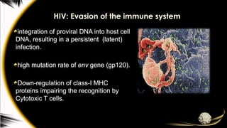 HIV: Evasion of the immune system
integration of proviral DNA into host cell
DNA, resulting in a persistent (latent)
infection.
high mutation rate of env gene (gp120).
Down-regulation of class-I MHC
proteins impairing the recognition by
Cytotoxic T cells.
 