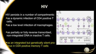 HIV
HIV persists in a number of compartments:
as a dynamic infection of CD4 positive T
cells.
as a low level infection of macrophages.
as partially or fully reverse transcribed,
non-integrated DNA in inactive T cells.
as an integrated but genetically silent pro-
virus in CD4 positive memory T cells
 