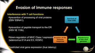 Evasion of immune responses
Interference with T cell functions
prevention of processing of viral proteins
(EBV EBNA1).
prevention of peptide transport to the ER
(HSV IE 110k).
down-regulation of MHC Class I expression
(adenovirus E1A and E3; HCMV)
restricted viral gene expression (true latency)
 