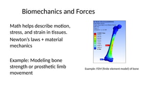 3.Mathematics and Bioengineering with examples.pptx