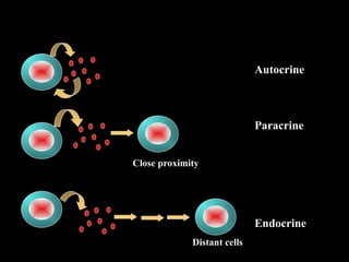 Autocrine
Paracrine
Endocrine
General Properties of Cytokines
Mode of Action
Close proximity
Distant cells
 