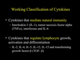 Working Classification of Cytokines
• Cytokines that mediate natural immunity
– Interleukin-1 (IL-1), tumor necrosis factor alpha
(TNF), interferons and IL-6
• Cytokines that regulate lymphocyte growth,
activation and differentiation
– IL-2, IL-4, IL-5, IL-12, IL-15 and transforming
growth factor- (TGF- )
 