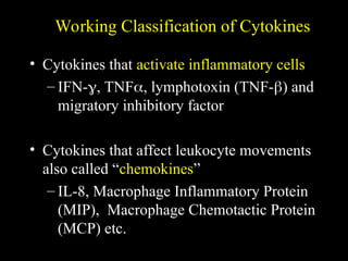 Working Classification of Cytokines
• Cytokines that activate inflammatory cells
– IFN-, TNF, lymphotoxin (TNF-) and
migratory inhibitory factor
• Cytokines that affect leukocyte movements
also called “chemokines”
– IL-8, Macrophage Inflammatory Protein
(MIP), Macrophage Chemotactic Protein
(MCP) etc.
 