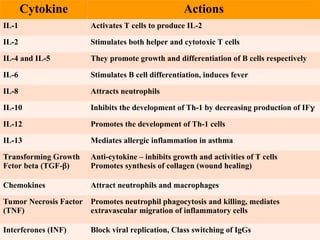 Cytokine Actions
IL-1 Activates T cells to produce IL-2
IL-2 Stimulates both helper and cytotoxic T cells
IL-4 and IL-5 They promote growth and differentiation of B cells respectively
IL-6 Stimulates B cell differentiation, induces fever
IL-8 Attracts neutrophils
IL-10 Inhibits the development of Th-1 by decreasing production of IF
IL-12 Promotes the development of Th-1 cells
IL-13 Mediates allergic inflammation in asthma
Transforming Growth
Fctor beta (TGF-)
Anti-cytokine – inhibits growth and activities of T cells
Promotes synthesis of collagen (wound healing)
Chemokines Attract neutrophils and macrophages
Tumor Necrosis Factor
(TNF)
Promotes neutrophil phagocytosis and killing, mediates
extravascular migration of inflammatory cells
Interferones (INF) Block viral replication, Class switching of IgGs
 
