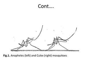 3. Medical and veternary important insects.pdf