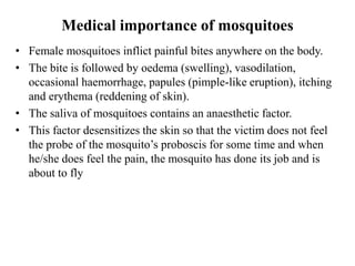 Medical Insecta 3. Medical and veternary important insects.pdf