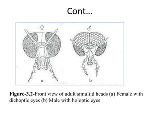 Midial Insects 3. Medical and veternary important insects.pdf
