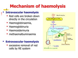 Extravascular System 3. Anaemia2 BMS.ppt A brief lecture notes for Biomedical Sceince ...