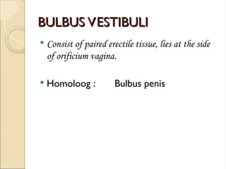 Homoloog Reproductive system Femina12345838584884.ppt