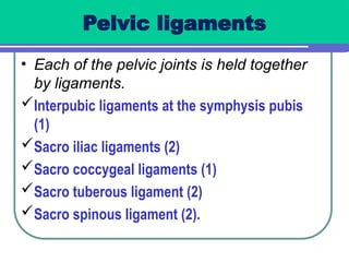 Anatomy of female pelvis and fetal skull.GYN OBS.pptx