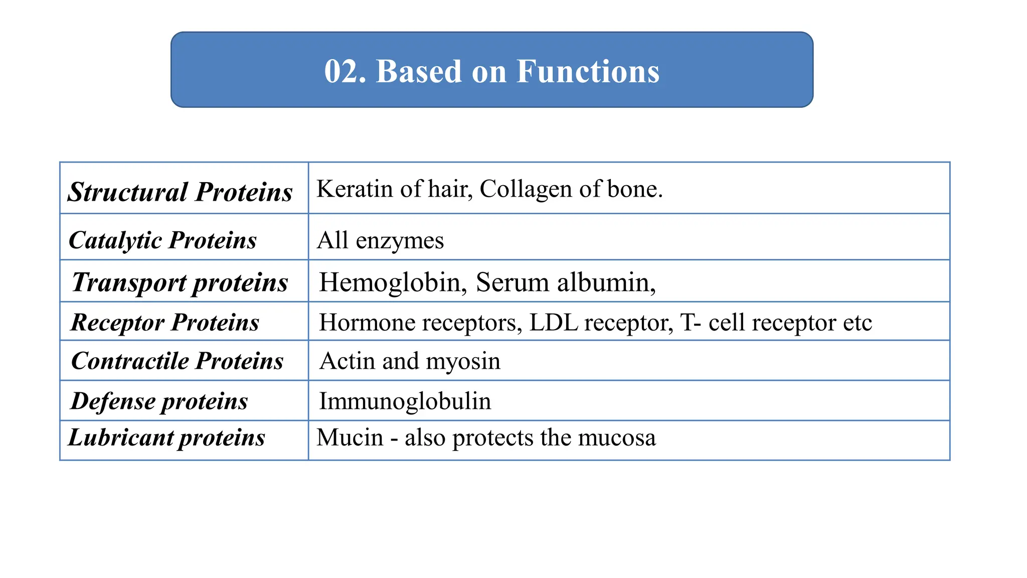 Structural Proteins Keratin of hair, Collagen of bone.
Catalytic Proteins All enzymes
Transport proteins Hemoglobin, Serum albumin,
Receptor Proteins Hormone receptors, LDL receptor, T- cell receptor etc
Contractile Proteins Actin and myosin
Defense proteins Immunoglobulin
Lubricant proteins Mucin - also protects the mucosa
02. Based on Functions
 