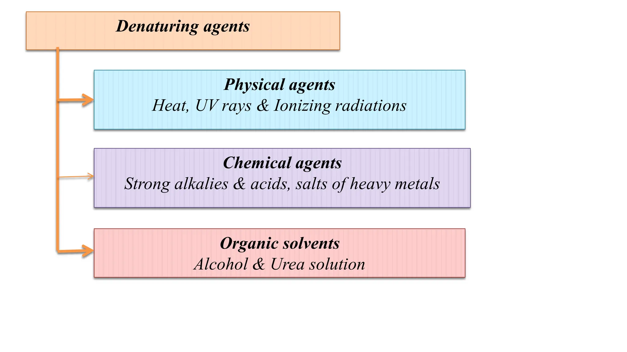 Denaturing agents
Physical agents
Heat, UV rays & Ionizing radiations
Chemical agents
Strong alkalies & acids, salts of heavy metals
Organic solvents
Alcohol & Urea solution
 