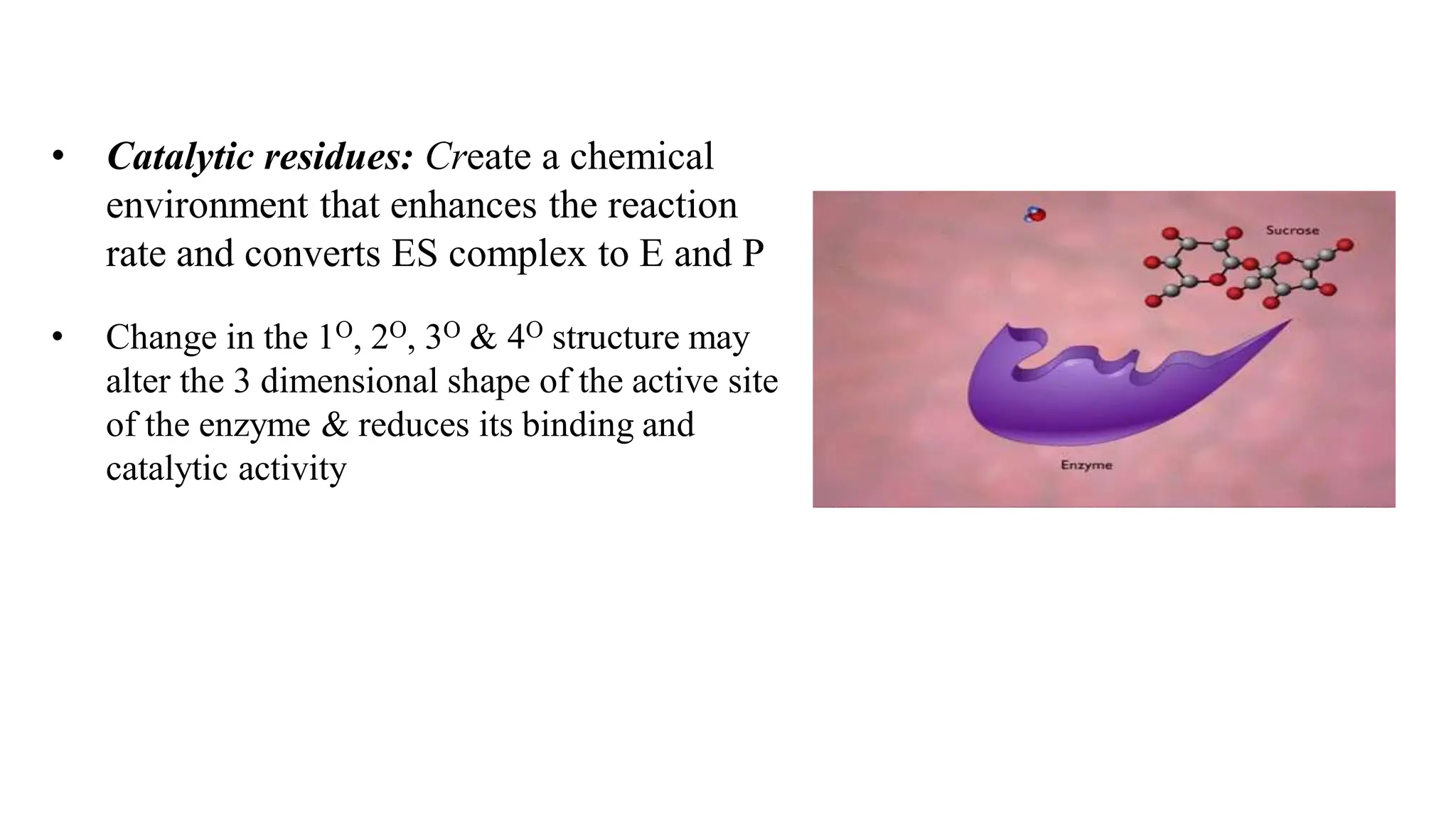 • Catalytic residues: Create a chemical
environment that enhances the reaction
rate and converts ES complex to E and P
• Change in the 1O, 2O, 3O & 4O structure may
alter the 3 dimensional shape of the active site
of the enzyme & reduces its binding and
catalytic activity
 