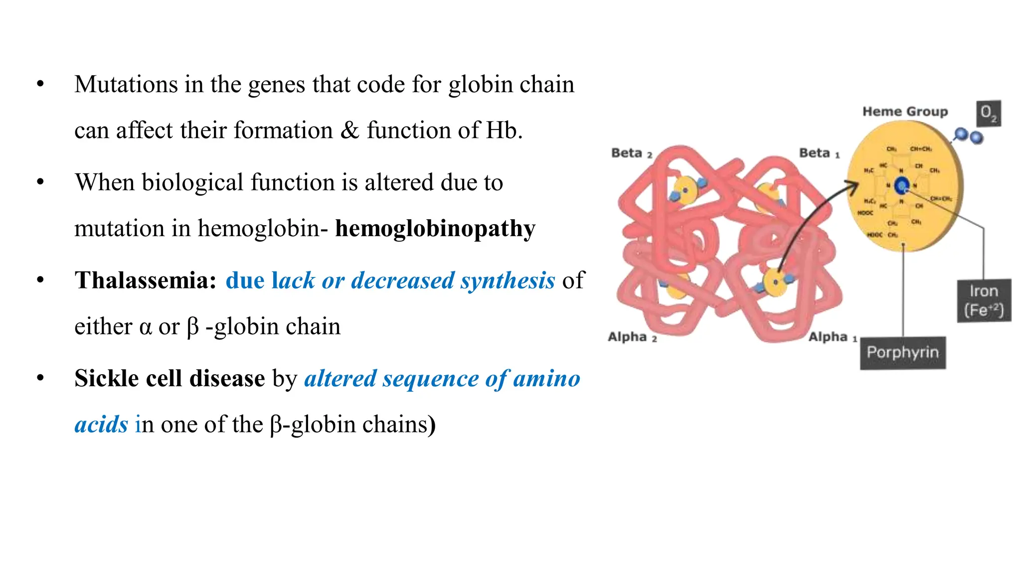 • Mutations in the genes that code for globin chain
can affect their formation & function of Hb.
• When biological function is altered due to
mutation in hemoglobin- hemoglobinopathy
• Thalassemia: due lack or decreased synthesis of
either α or β -globin chain
• Sickle cell disease by altered sequence of amino
acids in one of the β-globin chains)
 