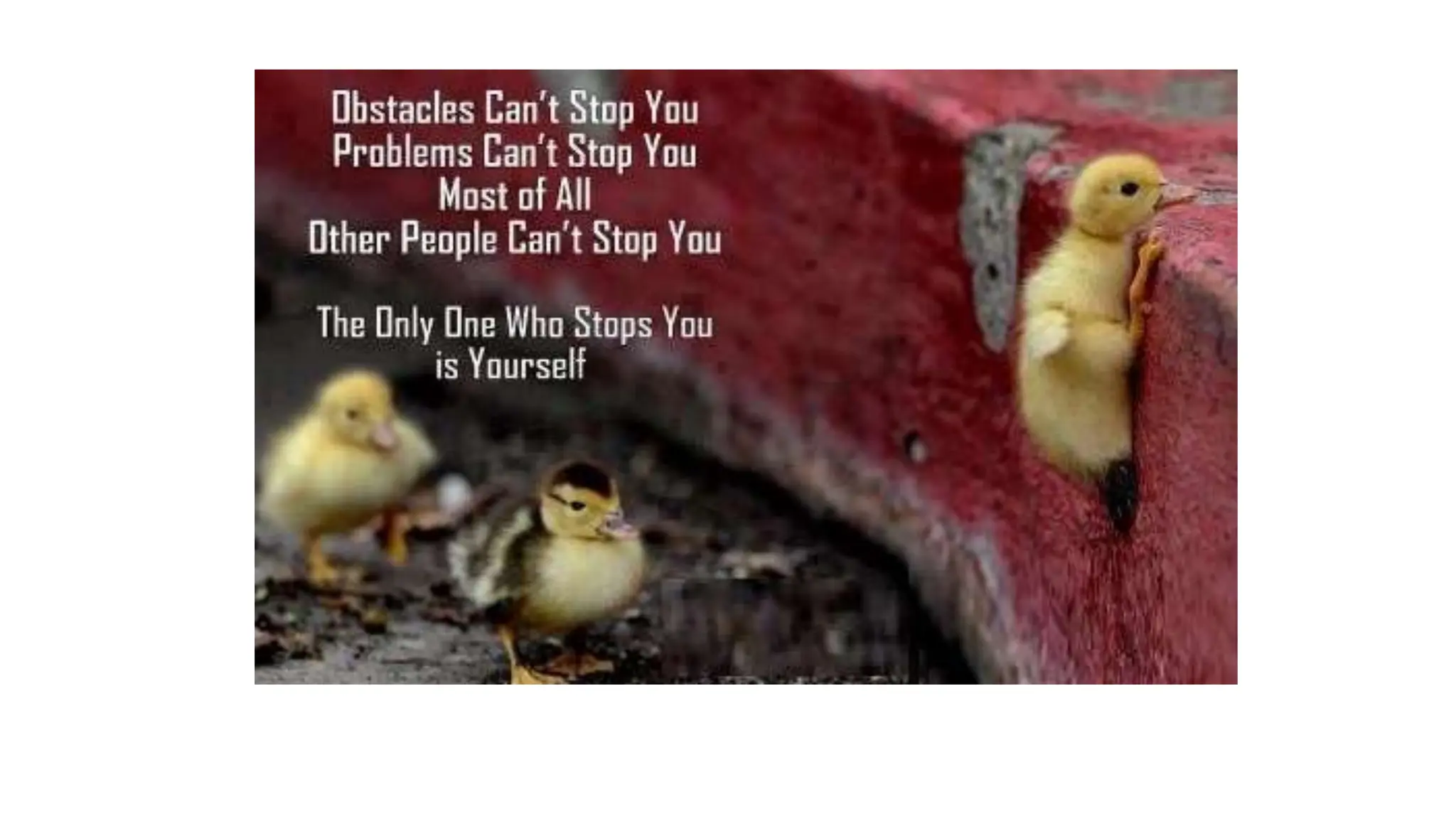 classification & denaturation and structural -functional relationship of Proteins