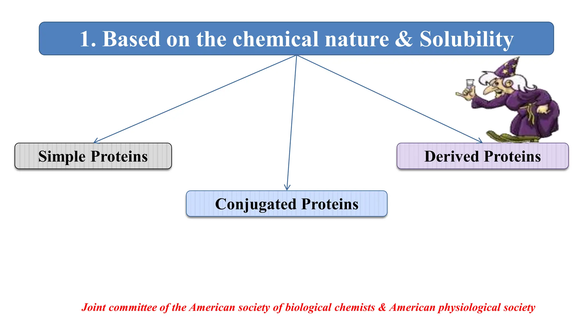 Simple Proteins
Conjugated Proteins
Derived Proteins
1. Based on the chemical nature & Solubility
Joint committee of the American society of biological chemists & American physiological society
 