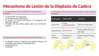 3. CADERA Y MUSLO fracturas y luxaciones.pptx