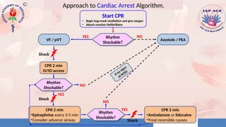 3. Cardiac Rhythm Disturbances - IAP - ALS 2020 NEW - Copy.pptx