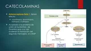 Inotropos 3. FARMACO CARDIOVASCULAR 2026......pptx