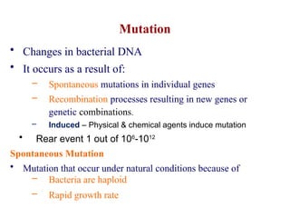3. Microbial genetics. -2025.pptx