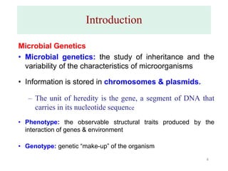 Microbial Inheritance 3.Microbiology Microbial genetics-2025.pdf