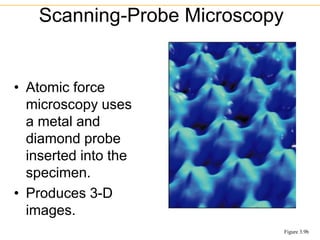 • Atomic force
microscopy uses
a metal and
diamond probe
inserted into the
specimen.
• Produces 3-D
images.
Scanning-Probe Microscopy
Figure 3.9b
 