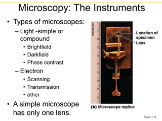 • Types of microscopes:
– Light -simple or
compound
• Brightfield
• Darkfield
• Phase contrast
– Electron
• Scanning
• Transmission
• other
• A simple microscope
has only one lens.
Microscopy: The Instruments
Figure 1.2b
 