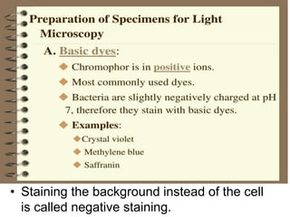 • Stains consist of a positive and negative
ion.
• In a basic dye, the chromophore is a cation
(+).
• In an acidic dye, the chromophore is an
anion (-).
• Staining the background instead of the cell
is called negative staining.
Preparing Smears for Staining
 
