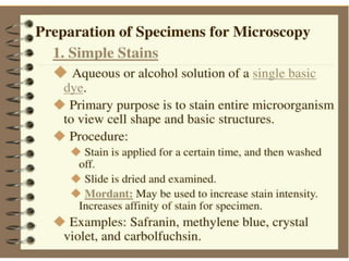 • Use of a single basic dye is called a
simple stain.
• A mordant may be used to hold the
stain or coat the specimen to enlarge it.
Simple Stains
 