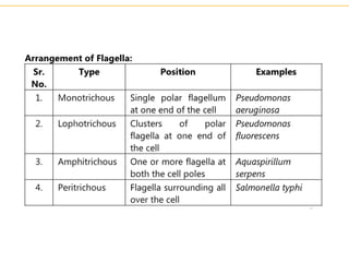 3.observing micro organism.pdf microbiology
