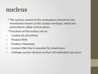 nucleus
The nucleus consist of the nucleoplasm bound by two
membranes known as the nuclear envelope, which has
perforations called nuclear pores.
Functions of the nucleus are to
1. Control all cell activity
2. Produce RNA
3. Produce ribosomes
4. Contain DNA that is essential for inheritance
5. Undergo nuclear division so that cell replication can occur.
 