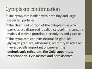 Cytoplasm continuation
The cytoplasm is filled with both tiny and large
dispersed particles.
The clear fluid portion of the cytoplasm in which
particles are dispersed is called cytosol; this contains
mainly dissolved proteins, electrolytes and glucose.
The cytoplasm contains neutral fat globules,
glycogen granules, ribosomes, secretory vesicles and
five especially important organelles: the
endoplasmic reticulum, the Golgi apparatus,
mitochondria, Lysososmes and peroxisomes.
 