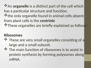 An organelle is a distinct part of the cell which
has a particular structure and function.
the only organelle found in animal cells absent
from plant cells is the centriole
These organelles are briefly explained as follows:
Ribosomes
 These are very small organelles consisting of a
large and a small subunit.
 The main function of ribosomes is to assist in
protein synthesis by forming polysomes along
mRNA.
 