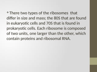  There two types of the ribosomes that
differ in size and mass; the 80S that are found
in eukaryotic cells and 70S that is found in
prokaryotic cells. Each ribosome is composed
of two units, one larger than the other, which
contain proteins and ribosomal RNA.
 