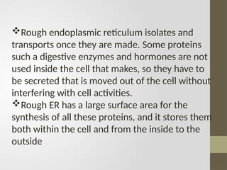 Rough endoplasmic reticulum isolates and
transports once they are made. Some proteins
such a digestive enzymes and hormones are not
used inside the cell that makes, so they have to
be secreted that is moved out of the cell without
interfering with cell activities.
Rough ER has a large surface area for the
synthesis of all these proteins, and it stores them
both within the cell and from the inside to the
outside
 