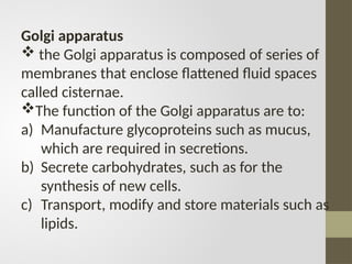 Golgi apparatus
 the Golgi apparatus is composed of series of
membranes that enclose flattened fluid spaces
called cisternae.
The function of the Golgi apparatus are to:
a) Manufacture glycoproteins such as mucus,
which are required in secretions.
b) Secrete carbohydrates, such as for the
synthesis of new cells.
c) Transport, modify and store materials such as
lipids.
 
