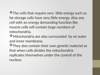 The cells that require very little energy such as
fat storage cells have very little energy. Also any
cell with an energy demanding function like
muscle cells will contain large numbers of
mitochondria.
Mitochondria are also surrounded by an outer
and inner membrane.
They also contain their own genetic material so
that when cells divides the mitochondria
replicates themselves under the control of the
nucleus
 