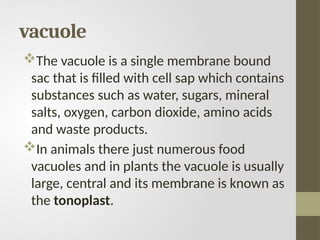 vacuole
The vacuole is a single membrane bound
sac that is filled with cell sap which contains
substances such as water, sugars, mineral
salts, oxygen, carbon dioxide, amino acids
and waste products.
In animals there just numerous food
vacuoles and in plants the vacuole is usually
large, central and its membrane is known as
the tonoplast.
 