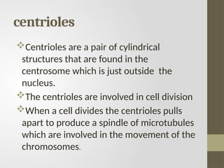 centrioles
Centrioles are a pair of cylindrical
structures that are found in the
centrosome which is just outside the
nucleus.
The centrioles are involved in cell division
When a cell divides the centrioles pulls
apart to produce a spindle of microtubules
which are involved in the movement of the
chromosomes.
 