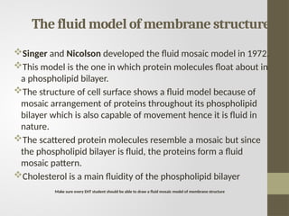 The fluid model of membrane structure
Singer and Nicolson developed the fluid mosaic model in 1972.
This model is the one in which protein molecules float about in
a phospholipid bilayer.
The structure of cell surface shows a fluid model because of
mosaic arrangement of proteins throughout its phospholipid
bilayer which is also capable of movement hence it is fluid in
nature.
The scattered protein molecules resemble a mosaic but since
the phospholipid bilayer is fluid, the proteins form a fluid
mosaic pattern.
Cholesterol is a main fluidity of the phospholipid bilayer
Make sure every EHT student should be able to draw a fluid mosaic model of membrane structure
 