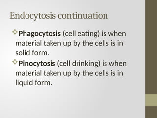 Endocytosis continuation
Phagocytosis (cell eating) is when
material taken up by the cells is in
solid form.
Pinocytosis (cell drinking) is when
material taken up by the cells is in
liquid form.
 