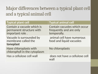 Major differences between a typical plant cell
and a typical animal cell
Typical plant cell Typical animal cell
Contain a vacuole which is
permanent structure with
important role .
Contain vacuoles which occur
frequently and are only
temporally.
Vacuole is surrounded by
membrane called the
tonoplast
animal cell have numerous
food and liquid vacuoles
Have chloroplasts with
chlorophyll in the cytoplasm
No chloroplasts
Has a cellulose cell wall does not have a cellulose cell
wall
 