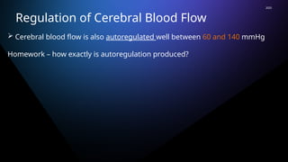Comprehensive Overview of Cerebral Circulation and Blood Flow ...