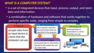 Comprehensive Overview of Computer System Elements: Hardware, Software ...