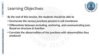 Epip Junction Epethielial Cell Junctions: Structure, Function, and Clinical Relevance ...